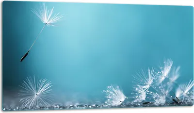 Produktbild von Glasschneidebrett Herdabdeckplatte Glaskeramikkochfeld Universal 52x30 cm Art