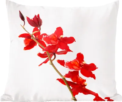 Produktbild von MuchoWow® Zierkissen Sofakissen Wohnzimmer Dekokissen 50x50 cm Rote Orchideen vor einem weißen Hintergrund - Komfort - Sofakissen