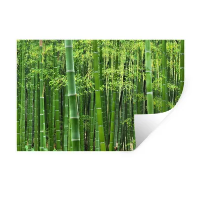 Produktbild von MuchoWow® Wandtattoo Wandsticker Wandaufkleber Bambuswald 30x20 cm Selbstklebend und Repositionierbar - Wierderverwendbar - Selbstklebend