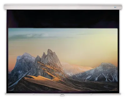 Produktbild von DELUXX Advanced Rolloleinwand Slowmotion 16:9 Mattweiss Polaro 170 x 95 cm