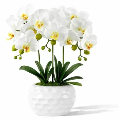 Produktbild von Weiße Phalaenopsis Kunstorchidee im Topf