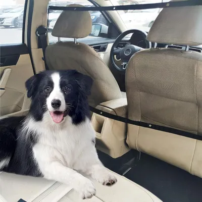 Immagine prodotto di TRANKIELO® - Protezione per cani per auto – Barriera regolabile per auto – Rete resistente per SUV e furgoni