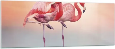 Produktbild von Bilder auf glas - Einteilig - Flamingos Exotik Vögel - 140x50cm - Glasbilder - Wandbilder - Bilder - zum Aufhängen bereit - Wanddekoration aus Glas - Glas Bilder - Wandbild auf Glas - GAB140x50-5044