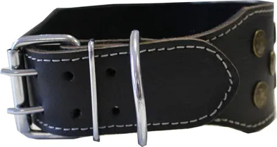 Produktbild von Hundehalsband aus echtem Leder 45-54cm in schwarz