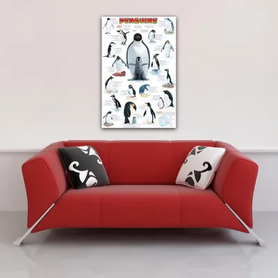 Obrázek produktu pro Vzdělávací - Vzdělávání Tučňáci Tučňáci - plakát Print - Velikost 61x91,5 cm