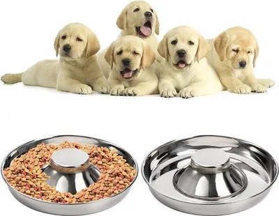 Produktbild von Famanu Futter- und Wasserschalen Set - Edelstahl, rutschfest, für Hunde und Katzen
