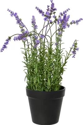 Produktbild von Kunstpflanze Lavendel 22x37cm mit Topf Lila Grün