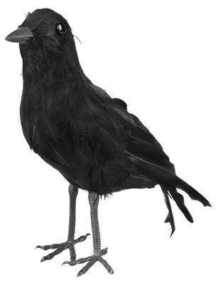 Produktbild von Schwarze Krähe - Horror Halloween deko