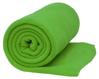 Produktbild von Stamina - "Lambert" Decke, Fleece LT3972 (Einheitsgröße) (Farngrün)