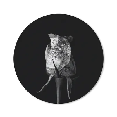 Produktbild von MuchoWow® Mauspad Mousepad Rosen - Blumen - Farbe - Schwarz - Weiß 40x40 cm - Mousepads - Maus Mat - Pad - Mausunterlage - Schreibtisch Accessoires