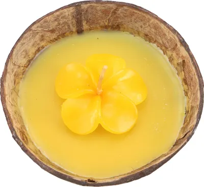 Produktbild von Exotische Duftkerze Kokosnuss 12 cm mit Blütenkerze - Jasmin Gelb, Kokosnuß, Kerzen