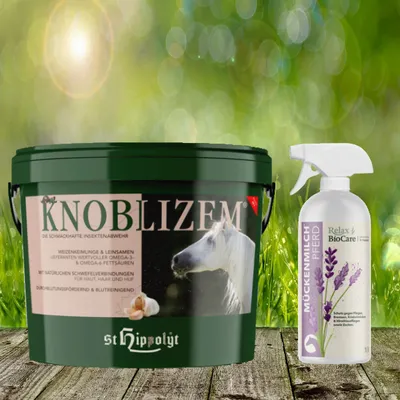Produktbild von St. Hippolyt Knoblizem Mineral 10 kg + Relax Biocare Mückenmilch 500 ml