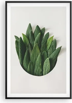 Produktbild von Gerahmtes Poster - Schwarzer Rahmen - Salbei Medizin Blätter - 61x91,5 cm - Wand Bild - Wanddeko - Wandbilder - Kunstposter - Wandposter - Bilderrahmen - Bilder - Kunstdruck - P2BPA61x91-4859
