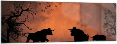 Produktbild von Bilder auf glas - Tier wütend Stier - 160x50cm - Glasbilder - Wandbilder - Kunstdruck - zum Aufhängen bereit - Wanddekoration aus Glas - Glas Bilder - Wandbild auf Glas - Einteilig - GAB160x50-0494