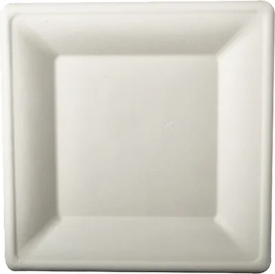 Produktbild von PAPSTAR Zuckerrohr-Teller "pure" eckig 260 x 260 mm 50 Stück weiß