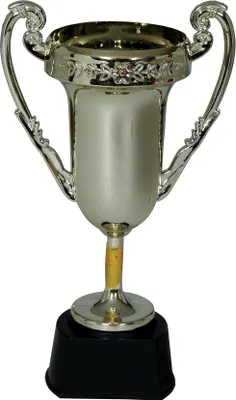 Immagine prodotto di Trofeo sportivo vincitore decorazione premio per feste e competizioni di carnevale 1 trofeo posto per adulti accessorio per festa in costume per esposizione trofeo vincitore gara, colore: oro