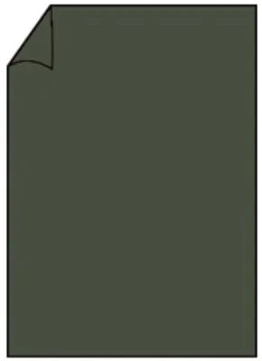 Produktbild von Rössler Papier 220701571 Coloretti Briefbogen - A4, 80g, 10 Blatt, forest
