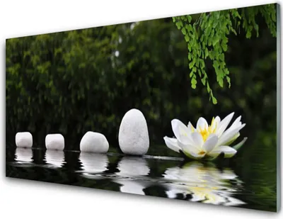 Produktbild von Acrylglasbilder 100x50 Wandbild Druck Steine Blume Kunst
