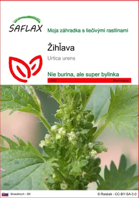 Obrázok produktu pre SAFLAX - žihľava - Urtica urens - 150 Semená