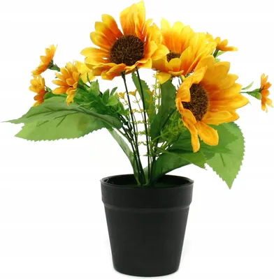 Produktbild von Künstliche Sonnenblume im Topf 25cm - Realistische Deko Pflanze für Wohnzimmer & Büro