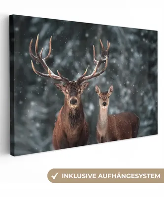 Produktbild von MuchoWow® - Leinwandbilder - Hirsche - Tiere - Winter - Geweih - Schnee - Natur, Wandbild, Wanddeko Bilder Wohnzimmer, 90x60 cm