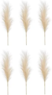 Produktbild von 6er Setkünstliches Pampasgras Federzweig creme H. 100cm Emerald Kunstblumen
