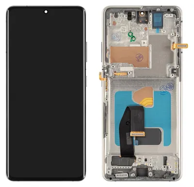 Produktbild von Samsung Galaxy S21 Ultra 5G Display (mit Rahmen) Phantom Silver (silber)