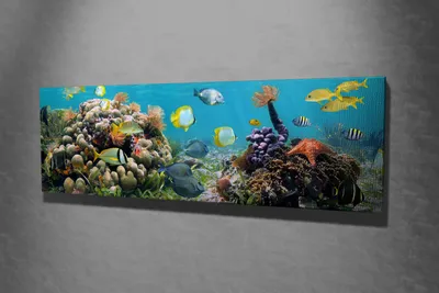 Produktbild von Wallity, PC021- MJS3266, Bunt, Leinwandbilder, 30 x 80 cm, 100% Leinwand