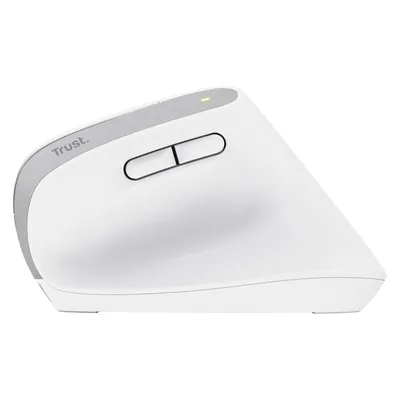 Image de TRUST Trust Bayo+ mouse Office Right-hand RF Wireless + Bluetooth Optical 2400 DPI