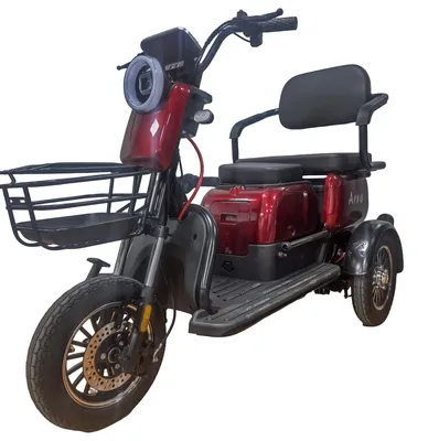 Zdjęcie produktu dla Arvo Seniorenmobil P250 czerwony
