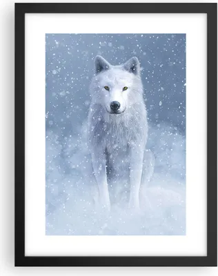 Produktbild von Gerahmtes Poster - Schwarzer Rahmen - Weiß Wolf Schnee - 30x40 cm - Wand Bild - Wanddeko - Wandbilder - Kunstposter - Wandposter - Bilderrahmen - Bilder - Kunstdruck - Wanddekoration - P2BPA30x40-5006