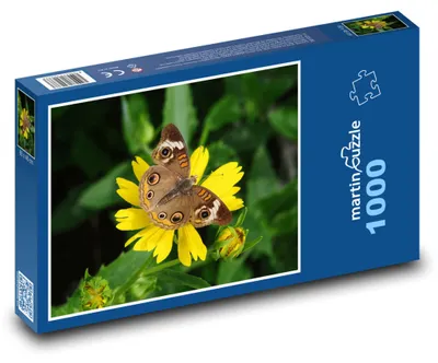 Obrázek produktu pro Puzzle 1000 Motýl na květině - martinpuzzle