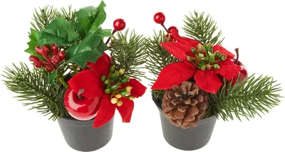 Produktbild von Weihnachtsarrangement mit Tanne im Topf, 2 Stück, H 6 cm
