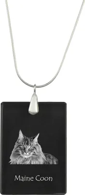 Zdjęcie produktu dla Kot Maine Coon – wiszący amulet z motywem kota, srebrny naszyjnik z możliwością umieszczenia zdjęcia, personalizowany amulet marki Art-Dog