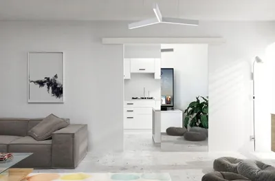 Zdjęcie produktu dla Drzwi przesuwne naścienne EKO-19 z lustrem | Białe | Z samodomykaczem | 86x205 cm