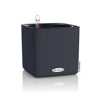 Obrázek produktu pro Lechuza Samozavlažovací květináč Cube Color, průměr 16 cm, antracitová