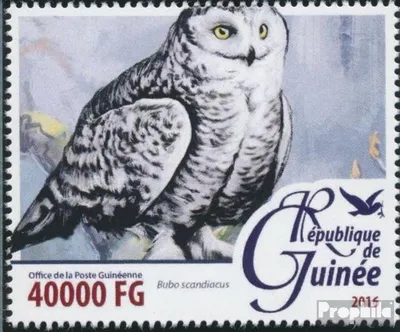 Produktbild von Briefmarken Guinea 2016 Mi 11675 (kompl. Ausgabe) postfrisch Eulen