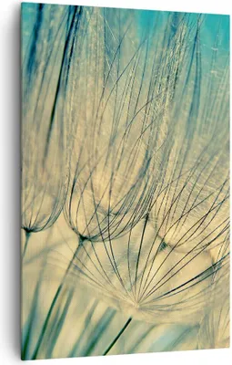 Produktbild von Bild auf Leinwand - Leinwandbild - Einteilig - Löwenzahn Makro Löwenzahn - 80x120cm - Wand Bild - Wanddeko - Wandbilder - Leinwanddruck - Wanddekoration - Leinwand bilder - Wandbild - PA80x120-4846
