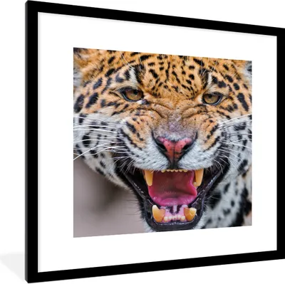 Produktbild von MuchoWow® Gerahmtes Poster Jaguar - Makro - Tier 40x40 cm - Poster mit Schwarzem Bilderrahmen Wandposter Rahmen Foto Bilder - Poster - Plakat im Rahmen