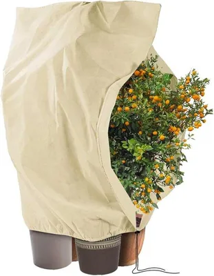 Produktbild von Unyqoos® Atmungsaktiver Winter-Pflanzensack 240 x 200 cm, Vlies 80 g/m², mit Reißverschluss & Kordel – frost- und windgeschützt für Kübelpflanzen, Palmen, Olivenbäume
