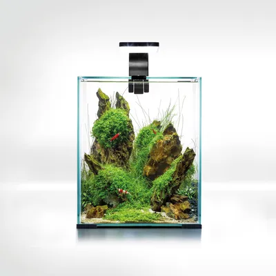 Immagine prodotto di Aquael Garnelen-Set smart d&n 20 nero, con 3 modalità di illuminazione.