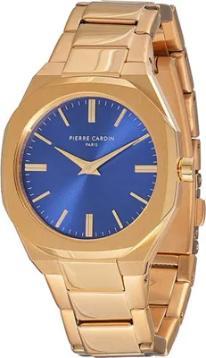 Immagine prodotto di Orologi Pierre Cardin cf1008mg2