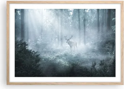 Produktbild von Gerahmtes Poster - Rahmen in heller Eiche - Hirsch Wald Morgendämmerung - 70x50 cm - Wand Bild - Wanddeko - Wandbilder - Kunstposter - Wandposter - Bilderrahmen - Bilder - Kunstdruck - P2NAA70x50-4667