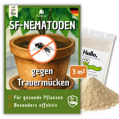 Produktbild von Futeco® – SF-Nematoden (3 Mio.) gegen Trauermücken – für 30 Pflanzen / 3m² Fläche – zum einfachen gießen