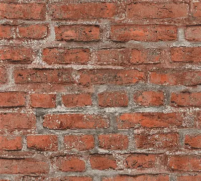 A close-up view of a brick wall texture.