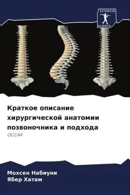 Produktbild von Kratkoe opisanie hirurgicheskoj anatomii pozwonochnika i podhoda