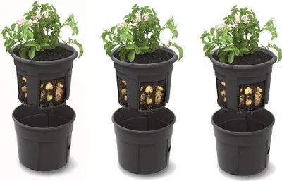 Produktbild von 3x Kartoffel Pflanztopf Blumentopf Set 3 Stk Pflanzkübel für Kartoffeln Kartoffel-Anzuchttopf 12 L Höhe 24,5 cm Potato Topf Korb