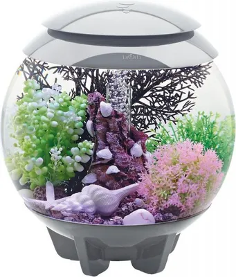 Produktbild von OASE 72037 biOrb HALO 15 MCR grau