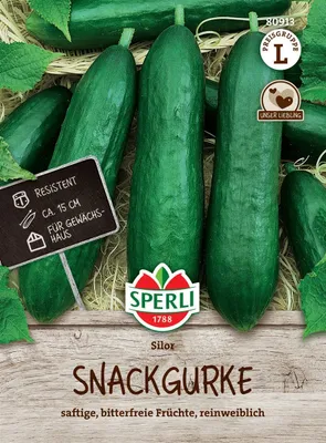 Produktbild von SPERLI Salatgurkensamen Silor F1 Cucumis sativus 4 Pflanzen