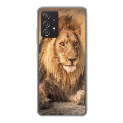 Produktbild von MuchoWow® Handyhülle Schutzhülle Hülle für Samsung galaxy a73 Löwe - Nahaufnahme - Savanne Silikon Softcase Handy Hülle - Handyhülle